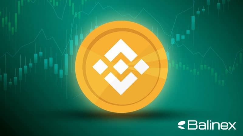 دامیننس بایننس کوین