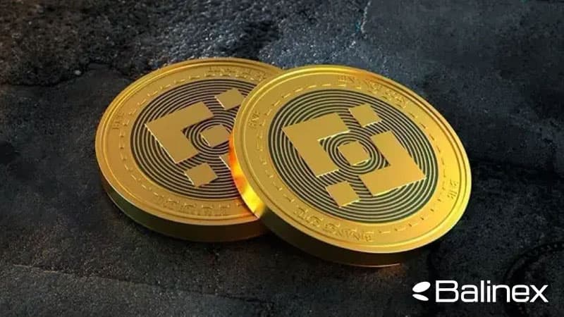 امنیت بایننس کوین