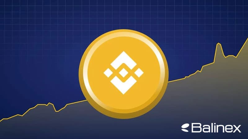 فاکتورهای موثر بر قیمت بایننس کوین
