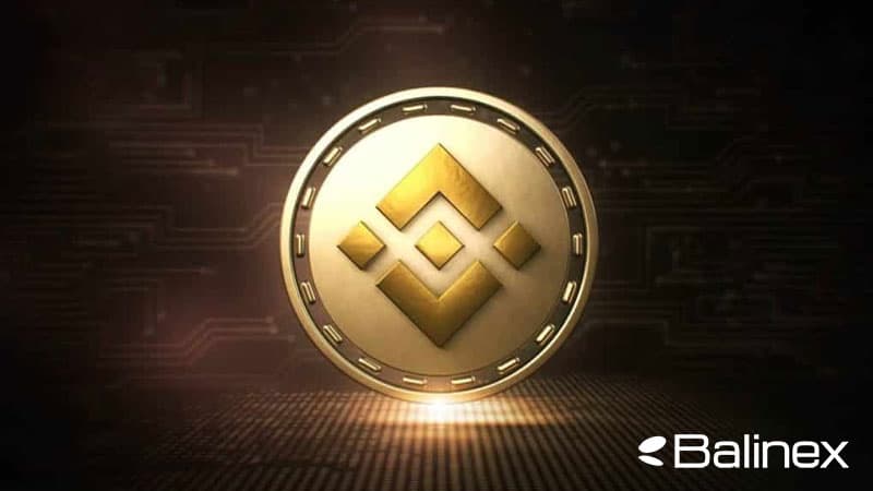 بایننس کوین چیست؟