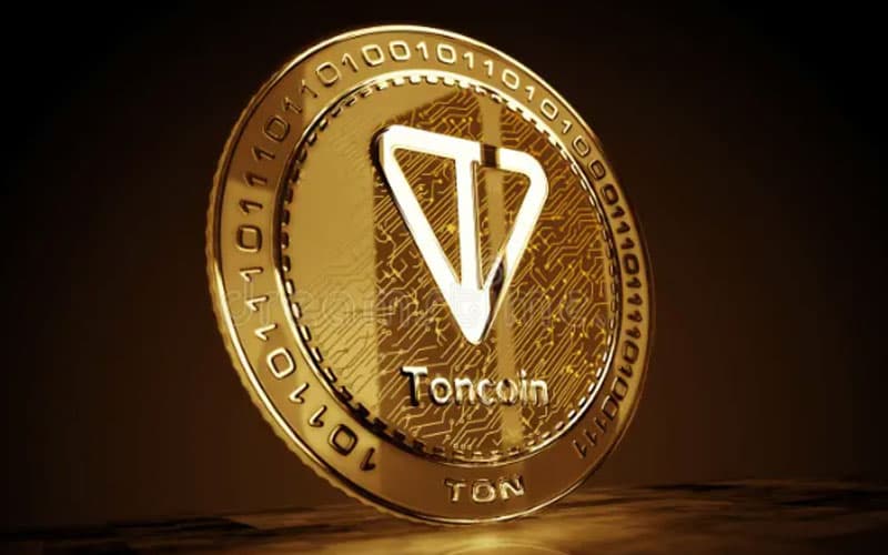 تصویر محتوا